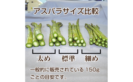 アイテムID:358205の画像2枚目