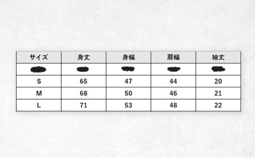 ふるさと納税 服 熊本県 錦町 『ひみつ基地ミュージアム』オリジナルポロシャツ（ネイビーSサイズ）と人吉海軍キーマカレー（1食） Sサイズ ひみつ基地ミュージアム』オリジナルポロシャツ（ネイビー）と