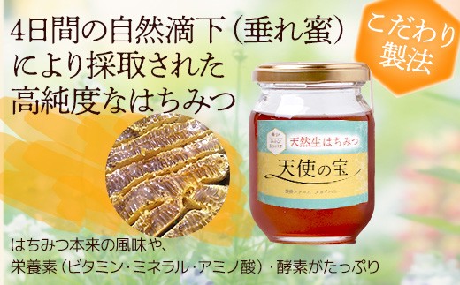 日本みつばち 蜂蜜＆無農薬 ブラックベリー ジャム