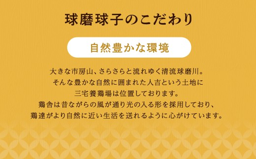 球磨球子 三宅養鶏場 
