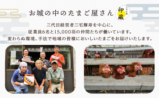 球磨球子 三宅養鶏場 