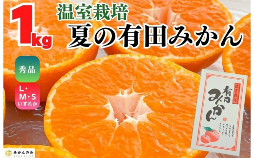 [お中元]ハウスみかん 温室栽培 夏の有田みかん 約1kg 秀品 S・M・Lサイズのいずれか 和歌山県 産地直送 みかんの会 [7月上旬〜8月上旬に順次発送]