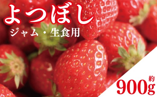 先行予約 訳あり いちご よつぼし 900g ジャム用 加工用 果物 フルーツ 苺 ストロベリー ケーキ アイス シャーベット ジェラート ゼリー ジュース ジャム スムージー 洋菓子 和菓子 お菓子 おやつ フルーツサンド フルーツ大福 苺大福 不揃い 規格外 家庭用 人気 オススメ お取り寄せ グルメ 徳島県 阿波市 チタチタストロベリーファーム 1487014 - 徳島県阿波市