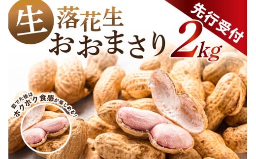 【先行受付 2025年8月下旬～9月下旬発送予定】南房総市産 生落花生おおまさり 2kg mi0117-0001【落花生 おおまさり ピーナッツ 甘み ホクホク おつまみ 晩酌 おやつ 大粒】 2191462 - 千葉県南房総市