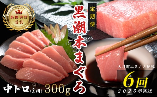 【定期便6回】日本一!黒潮本まぐろ 中トロ2柵