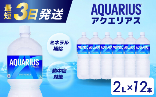 アクエリアス PET 2L×12本(6本×2ケース) 最短3日で発送 スポーツドリンク スポーツ飲料 清涼飲料水 水分補給 ペットボトル 箱買い まとめ買い 014019 776716 - 広島県三原市