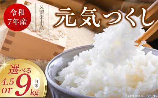 [令和7年産 新米]福岡県産ブランド米元気つくし 白米 4.5kg・9kg_令和7年産 新米 元気つくし 白米 選べる 内容量 4.5kg 9kg 福岡県産 ブランド米 精米 鮮度抜群 新鮮 福岡生まれ 品種 香り豊か ふっくら 食感 ご飯 白ご飯 おにぎり 弁当 お米 食品 お取り寄せ 九州 久留米産 福岡県 久留米市 送料無料