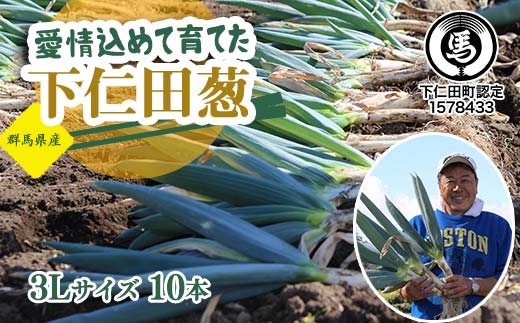 愛情込めて育てた下仁田葱(3L 10本) とろける 甘い ねぎ ネギ 王様ねぎ 殿様ねぎ 特産 栄養たっぷり ブランド 上州ねぎ すきやき F21K-565