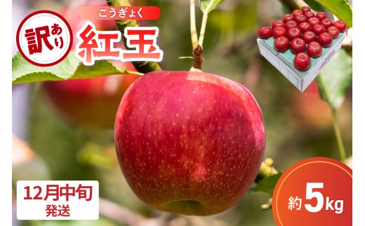 【2025年12月中旬発送】【訳あり】 りんご 5kg 紅玉 アップルパイ に最適 青森 不揃い