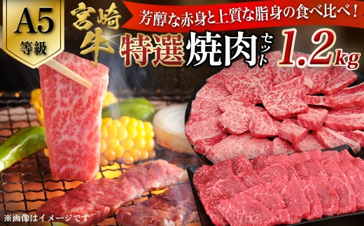 【A5等級】宮崎牛 特選焼肉セット 計1.2kg(赤身・霜降り) 宮崎牛 ブランド牛 和牛 牛肉 焼肉 特選和牛 霜降り A5 宮崎県 小林市 2182438 - 宮崎県小林市