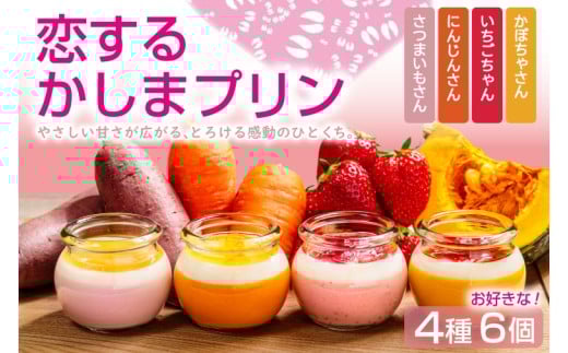＼恋するかしまプリン 6個セット ／とろける スイーツ やさしい甘さ ベジタブル フルーツ  ジュレ 茨城県 鹿嶋市 (KDN-6)