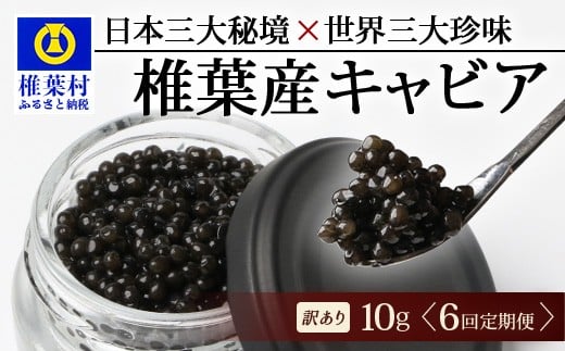 【6回定期便】【訳あり】 国産 キャビア HEIKE CAVIAR  10g × 6回 計60g 【世界三大珍味×日本三大秘境】［ 訳あり 宮崎 椎葉 国産 チョウザメ キャビア 定期便 定期 10g 60g 6回定期 魚卵 卵 魚介 珍味 加工品 冷凍 高級 高級食材 贅沢 世界三大珍味 おつまみ グルメ ギフト プレゼント 贈答 希少 人気 おすすめ 送料無料 ］SZ-116_6teiki