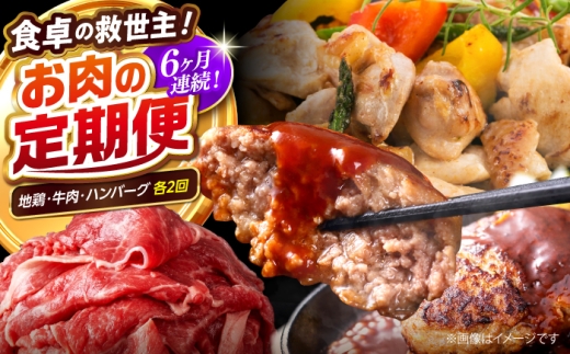 【6回定期便】高知の肉定期便〈はちきん地鶏・土佐あかうし・ハンバーグ〉少量セット【合同会社土佐あぐりーど】 [ATBO033] 1978611 - 高知県高知市