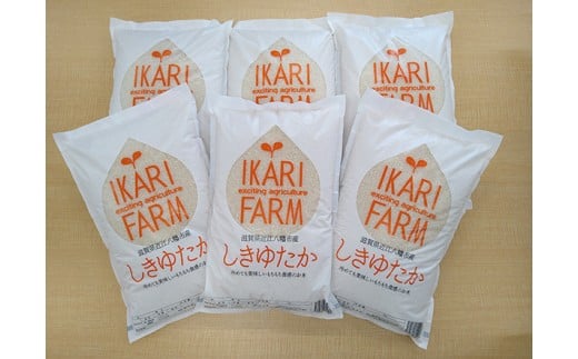 【新米】【7年産】すっごいもちもち「しきゆたか」白米定期便　６カ月で５㎏を６回お届け（１カ月に1回）【C013U1】