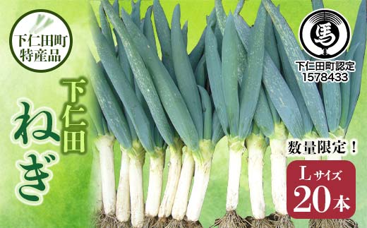 下仁田町特産「下仁田ねぎ」Lサイズ 20本 大箱 とろける 甘い ねぎ ネギ 王様ねぎ 特産 栄養たっぷり ブランド 上州ねぎ すきやき F21K-581