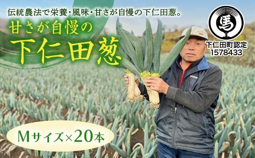 甘さが自慢の下仁田葱（Mサイズ 20本） とろける 甘い ねぎ ネギ 王様ねぎ 殿様ねぎ 特産 栄養たっぷり ブランド 上州ねぎ すきやき F21K-616
