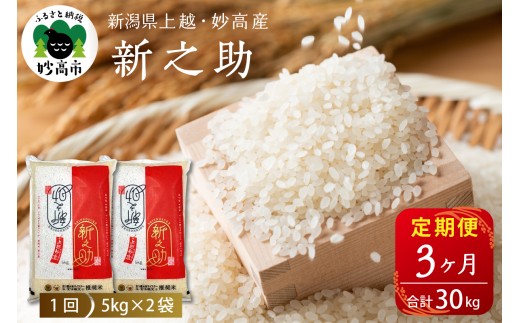 【2026年4月下旬発送】【定期便】令和7年産 新潟県上越・妙高産新之助10kg(5kg×2袋)×3回（計30kg）