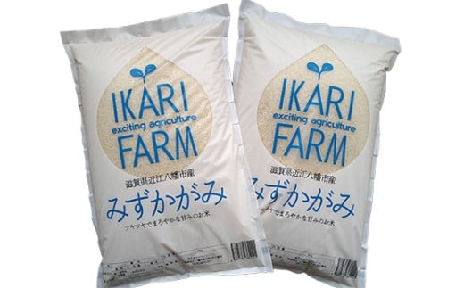 【新米】【7年産】冷めても美味しいあっさりとした味わい「みずかがみ」白米【10㎏（5㎏×2袋）】【C015U2】