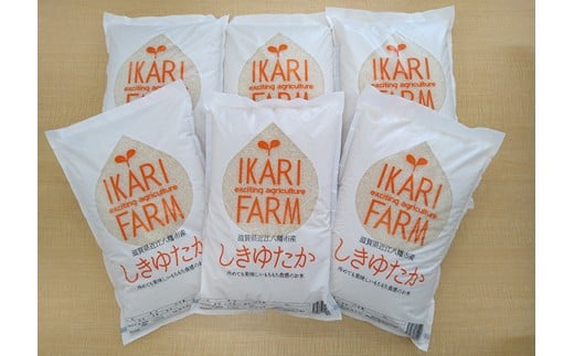 【新米】【7年産】すっごいもちもち「しきゆたか」白米定期便　１２カ月で５㎏を６回お届け（2カ月に1回）【C012U1】