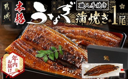 【年内お届け】職人手焼きの本格うなぎ蒲焼き1尾≪2025年12月15日～31日お届け≫_LG8-3310-HNY_(都城市) 国産 本格 うなぎ 鰻 蒲焼 宮崎 じっくり 特製タレ 香り豊かな ふっくら 香ばしい うなぎ 年末