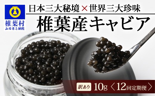 【12回定期便】【訳あり】 国産 キャビア HEIKE CAVIAR  10g × 12回 計120g 【世界三大珍味×日本三大秘境】［ 訳あり 宮崎 椎葉 国産 チョウザメ キャビア 定期便 定期 10g 120g 12回定期 魚卵 卵 魚介 珍味 加工品 冷凍 高級 高級食材 贅沢 世界三大珍味 グルメ ギフト プレゼント 贈答 希少 人気 おすすめ 送料無料 ］SZ-116_12teiki
