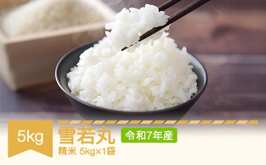 【先行予約】 新米 米 雪若丸 精米 5kg 令和7年産 2025年産 山形県村山市産 mr-ywxxa5 2178353 - 山形県村山市