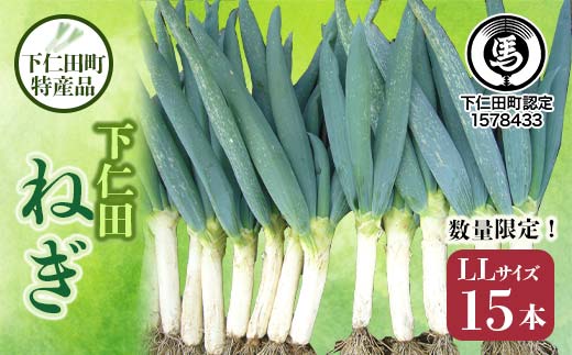 下仁田町特産「下仁田ねぎ」 LLサイズ 15本 大箱 とろける 甘い ねぎ ネギ 王様ねぎ 特産 栄養たっぷり ブランド 上州ねぎ すきやき F21K-580