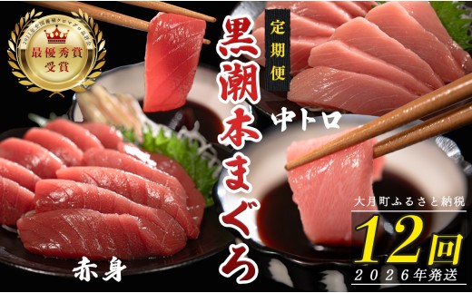 【定期便12回】日本一!黒潮本まぐろ 中トロ・赤身