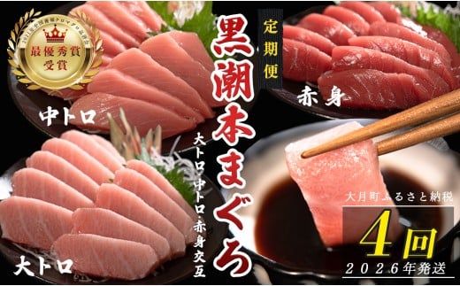【定期便4回】日本一!黒潮本まぐろ 大トロ・中トロ・赤身(交互) 1030140 - 高知県大月町
