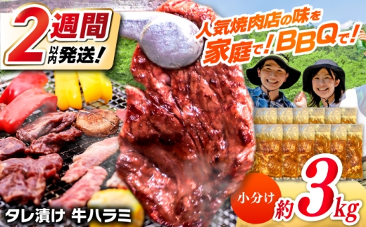 タレ漬け 牛ハラミ 約250g×12パック 計約3kg【焼肉寛十郎】小分け 個包装 味付け タレ たれ 高知県 お肉 牛肉 贅沢 焼き肉 BBQ バーベキュー 訳あり わけあり ワケアリ はらみ [ATDO016] 2180985 - 高知県高知市