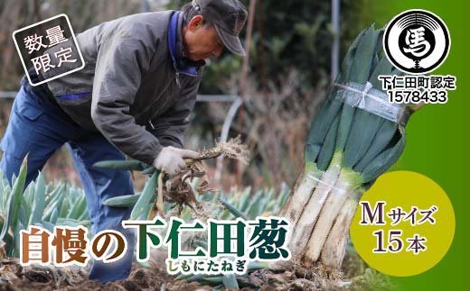 自慢の下仁田葱(M 15本) とろける 甘い ねぎ ネギ 葱 王様ねぎ 殿様ねぎ 特産 栄養たっぷり ブランド 上州ねぎ すきやき F21K-560