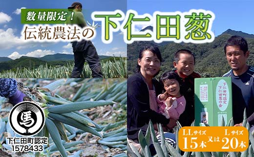 伝統農法の下仁田葱（LL15本またはL20本） とろける 甘い ねぎ ネギ 王様ねぎ 特産 栄養たっぷり ブランド 上州ねぎ すきやき F21K-574