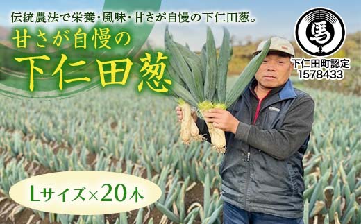 甘さが自慢の下仁田葱（Lサイズ 20本） とろける 甘い ねぎ ネギ 王様ねぎ 殿様ねぎ 特産 栄養たっぷり ブランド 上州ねぎ すきやき F21K-617