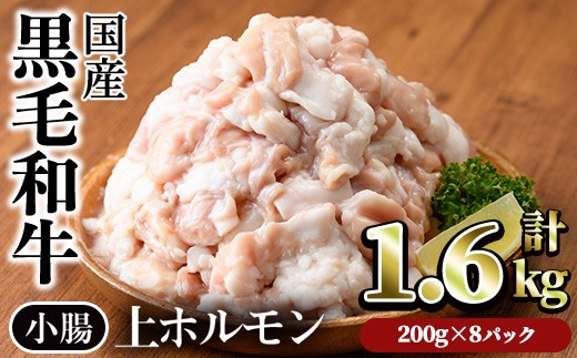 【鮮度抜群！】国産黒毛和牛小腸（上ホルモン計1.6kg） ホルモン 焼肉 黒毛和牛【カミチク】A828