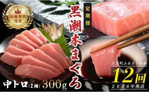 【定期便 12回】日本一!黒潮本まぐろ 中トロ2柵