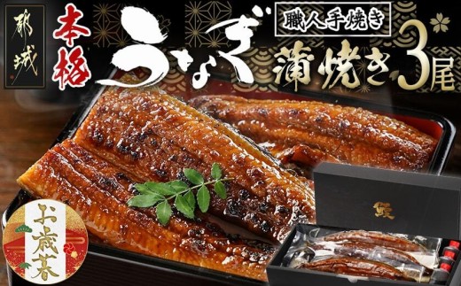 【お歳暮】職人手焼きの本格うなぎ蒲焼き3尾≪11月17日～12月21日お届け≫_AC-3301-WG_(都城市) 鰻蒲焼 3尾 (総重量450g以上) タレ付き (30ml×3個) 国産うなぎの蒲焼き 特製たれ付き 冷凍 ウナギ かば焼き うなぎ ギフト 贈答用