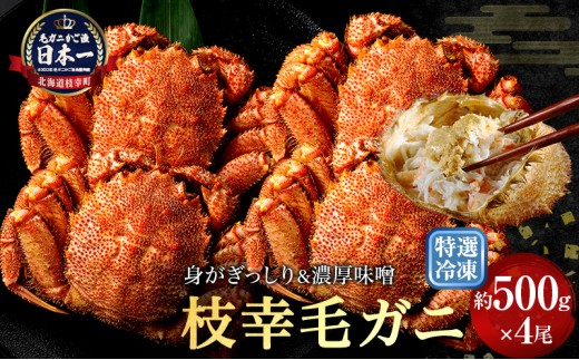 【漁獲量日本一】至福の逸品！特選冷凍「枝幸毛がに」約500g×4尾 毛蟹 毛ガニ オホーツク 北海道