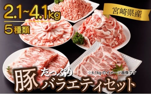 KU405[発送時期が選べる] 2.1kg~4.1kg! 豚バラエティーセット [宮崎県産]