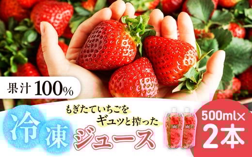 杉本農園のもぎたていちごをギュッと搾った100%冷凍ジュース 500ml×2本 ジュース ストレートジュース 100%ジュース フルーツジュース 飲料 果汁 いちご イチゴ 苺 フルーツ 佐賀県 太良町 NB55 2260207 - 佐賀県太良町