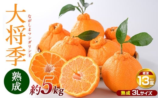 【先行予約】熟成 ながしまマンダリン王(大将季) 約5kg【ながしまマンダリングループ】mandarin-1505