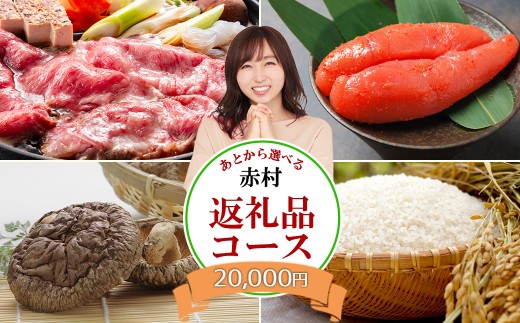 あとから選べる返礼品【2万円コース】 1175081 - 福岡県赤村