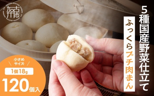 [5種国産野菜仕立て]ふっくらプチ肉まん(18g×120個)[ プチ肉まん 肉まん 大容量 小さめサイズ おやつ ][2400I15929]