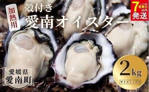 【7営業日以内発送】愛南 オイスター 2kg 16000円 先行予約 2025年 7月以降発送 牡蠣 加熱用 殻付き 三倍体 真牡蠣 ブランド 特産品 お取り寄せ グルメ 大粒 濃厚 クリーミー おいしい 新鮮 ご褒美 かき パスタ アヒージョ まがき 夏 産地 直送 愛南漁業協同組合 御荘支所 愛媛県 愛南町