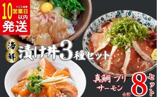 [10営業日以内発送] 種類 が 選べる 漬丼 厳選 3種 8食 セット 真鯛 ブリ サーモン 10000円 食べ比べ 漬け丼 づけ丼 海鮮丼 鯛 たい ブリ ぶり 鰤 鮭 冷凍 人気 魚介 海鮮 食べ比べ お手軽 加工品 簡単 晩ごはん 小分け パック 新鮮 鮮魚 養殖 国産 詰め合わせ ギフト プレゼント 本格 ふるさと納税 南予ビージョイ 愛南町 愛媛県