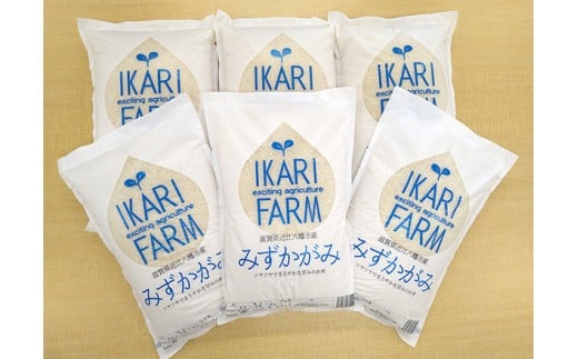 【新米】【7年産】みずかがみ　白米定期便　６か月で５kgを６回お届け（１か月に1回）【C036U2】