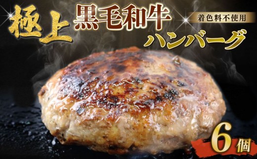 自家製 手作り 黒毛和牛ハンバーグ 約90g×6個 総計約540g ハンバーグ 国産 牛肉 100% [(有)山重食肉](室戸海洋深層水塩使用)