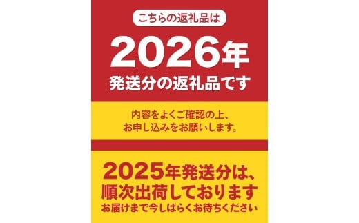 山梨県富士吉田市のふるさと納税 【2026年先行予約】山梨の朝どれ桃2kg　大玉5玉～7玉  もも 山梨県産 モモ 厳選 フルーツ 果物 くだもの 山梨 富士吉田市