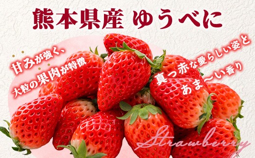 熊本県産 いちご ゆうべに 1箱 (250g×4パック)