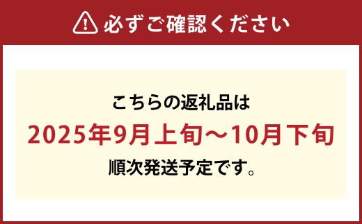 【無加温栽培（晴王）】岡山県産シャインマスカット自家用つる付き2房入り（1房530ｇ以上）