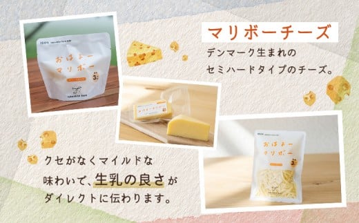 竹下牧場 takeshita farm【6ヶ月配送】マリボーチーズセット 計510g